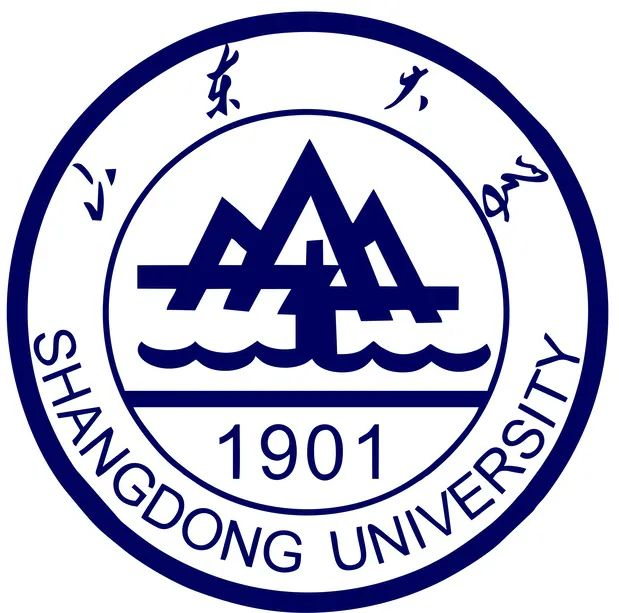 山东大学升降炉项目